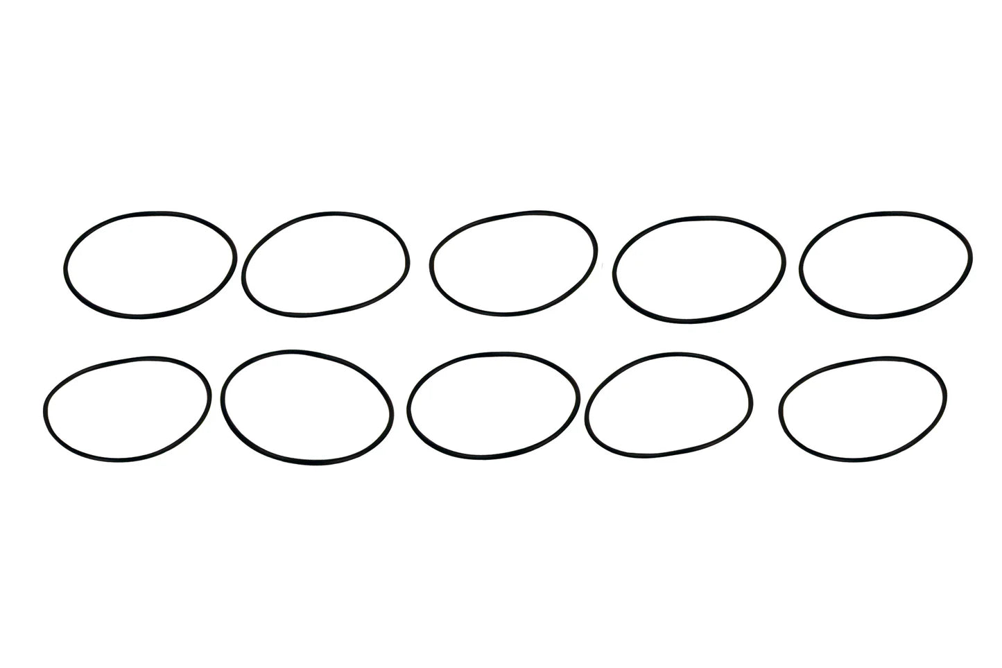 10-Pack Replacement O-Rings Front View