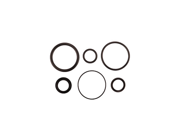 Radflo Seal Kit 2.5 7/8″ IFP