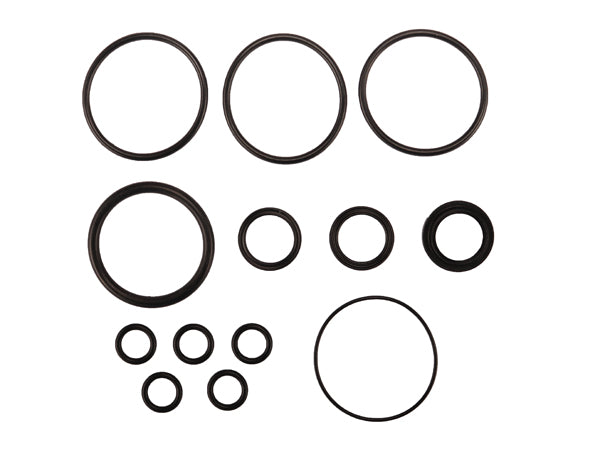 Radflo Seal Kit 2.5 7/8″ With Remote And Bypass Include Piston O Ring 5/8″ OD Tubes