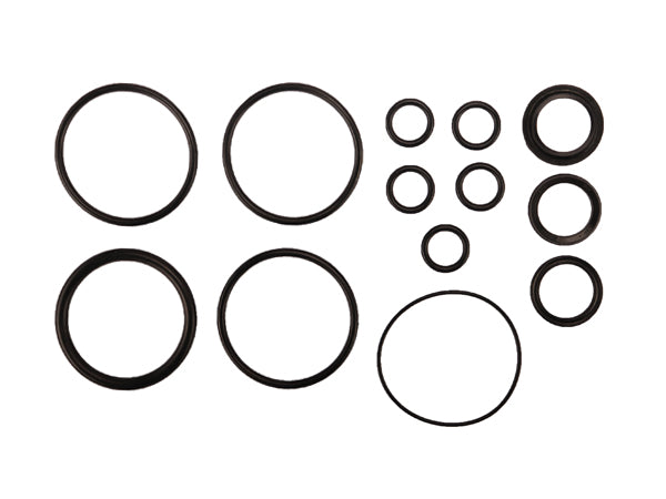 Radflo Seal Kit 2.5 7/8″ With Remote And Bypass Includes Piston O Ring 3/4″ OD Tubes