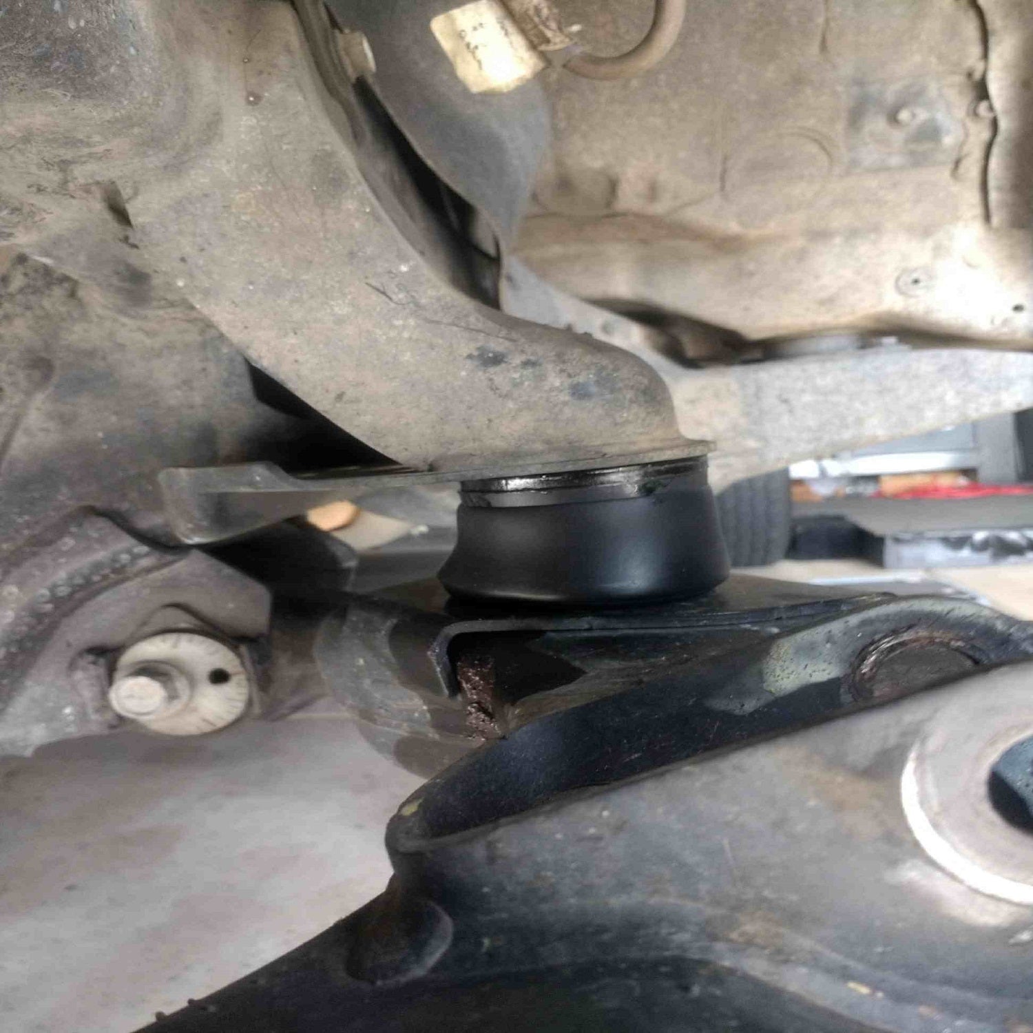 '05-15 Toyota Tacoma DuroBumps Front Bump Stops - DBF212 Display on Vehicle