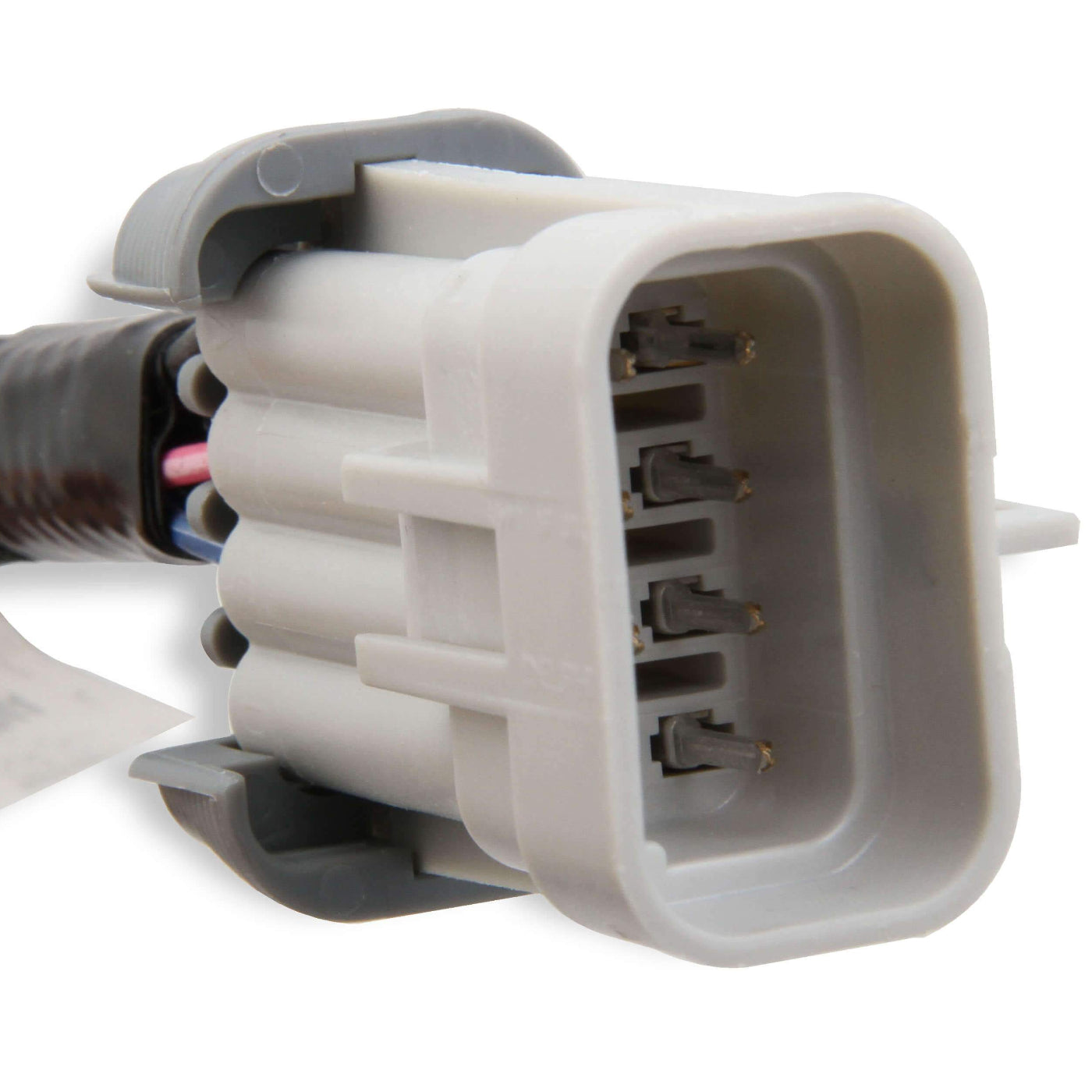 Holley LS Coil Harness Close-up Display