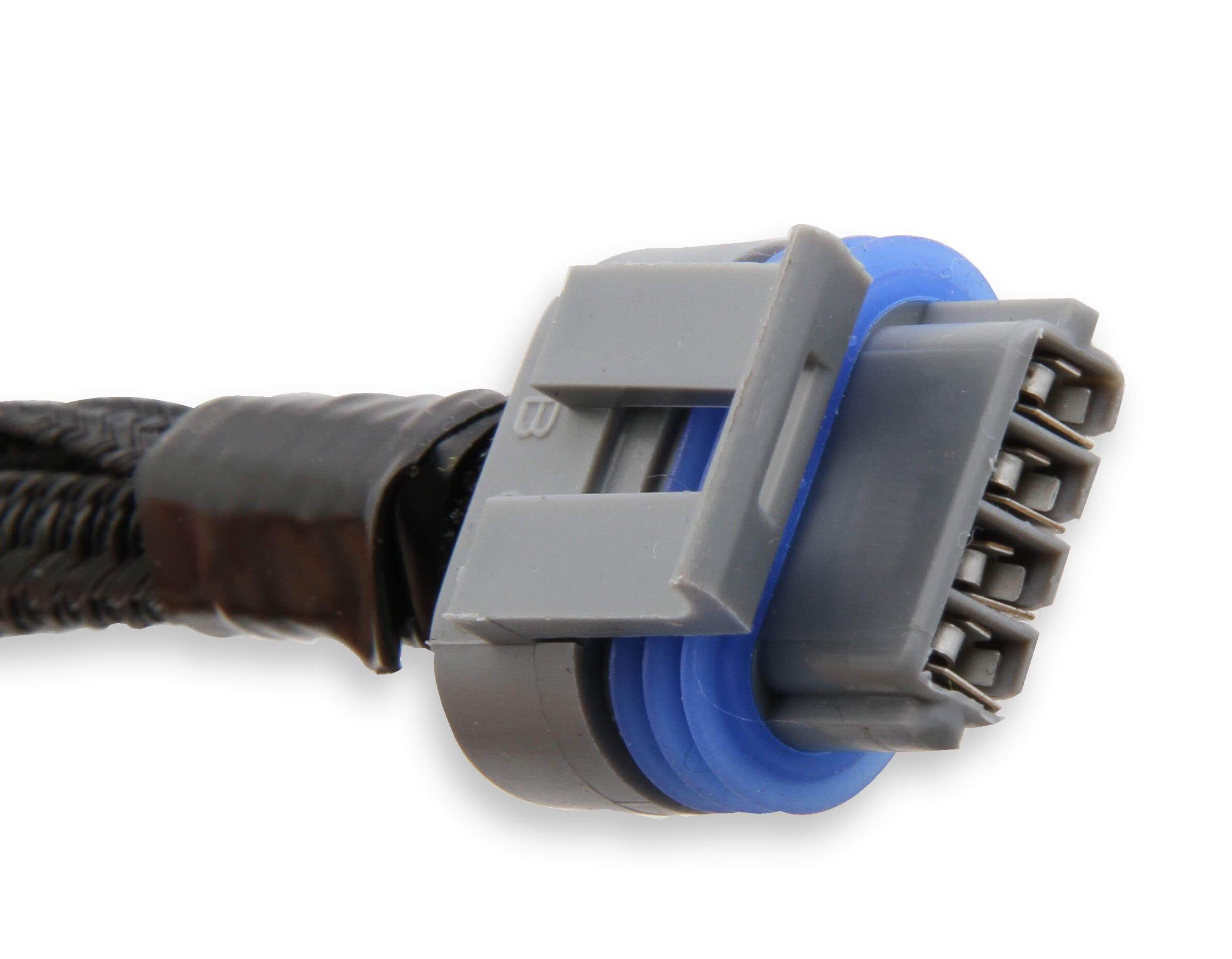 Holley LS Coil Harness Close-up Display