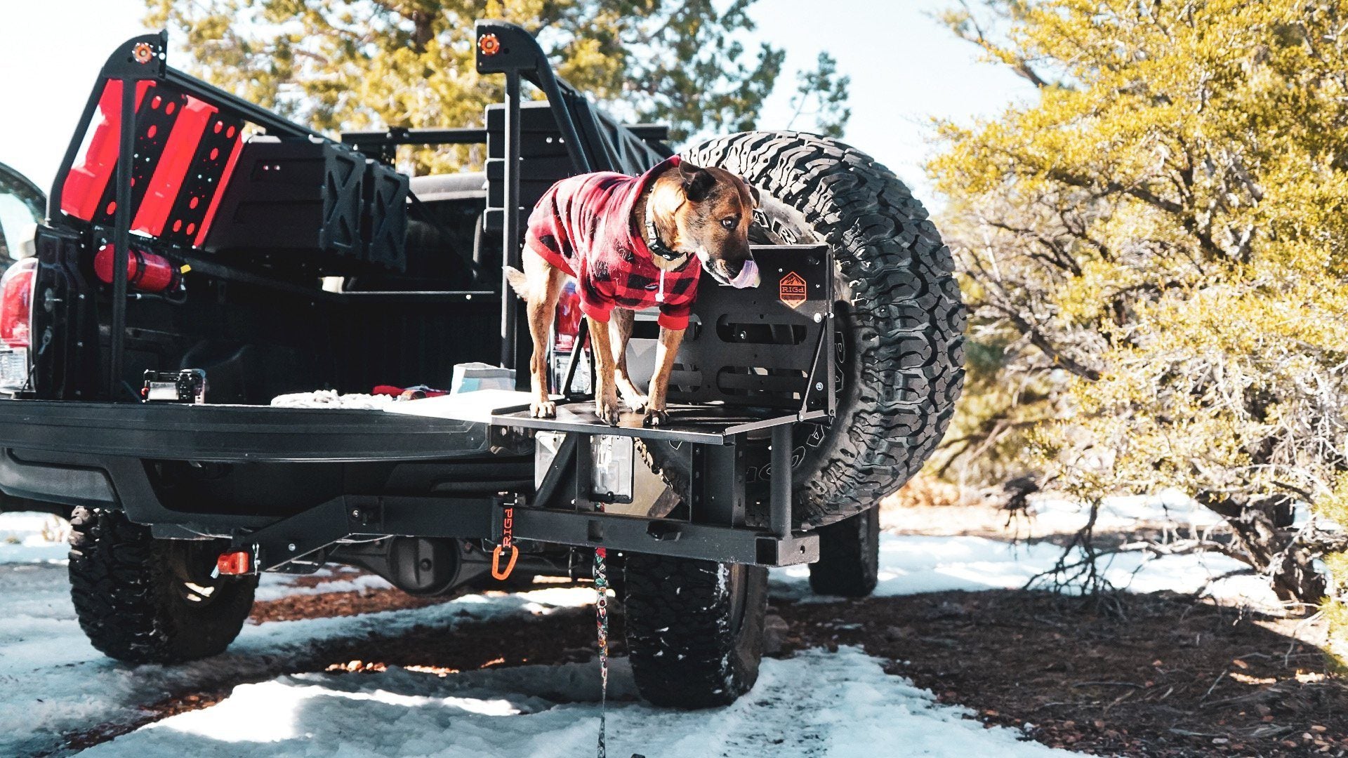 UltraSwing Hitch Carrier Multi-Fit Tiregate RIGd Supply display