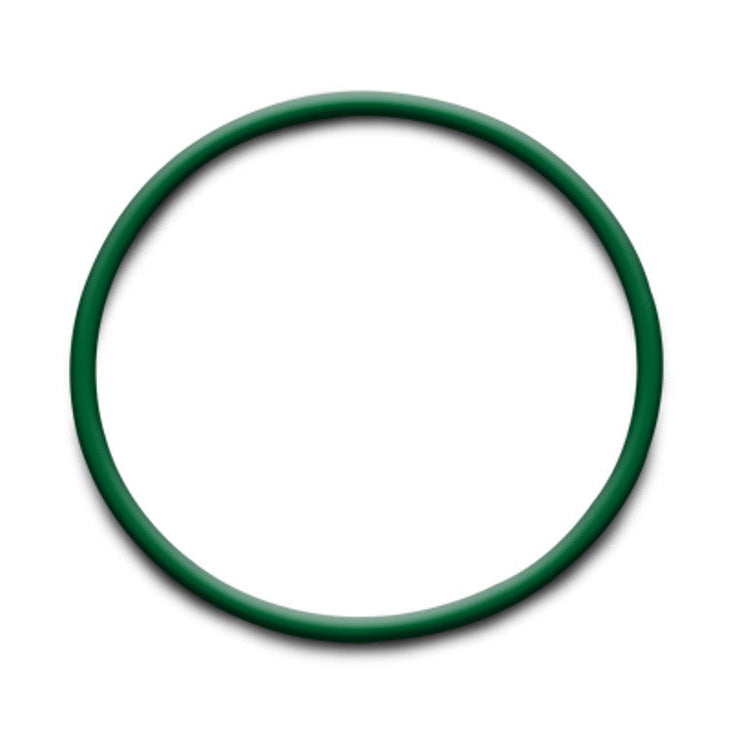 Replacement O-Rings for Weld Ferrules Front View
