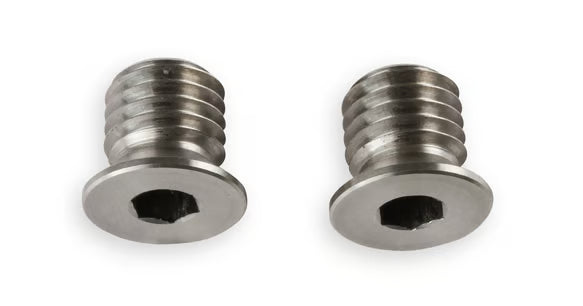Earl's Fits GM LT Gen-V Engines (2014 & up), M12 x 1.75 w/ Tapered Seat - Set of (2) Plugs - Stainless Steel Front View Silver