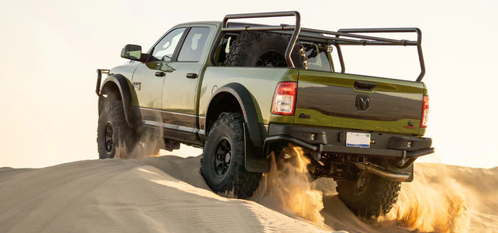 AEV Vertical Tire Mount for 2003+ Ram HD