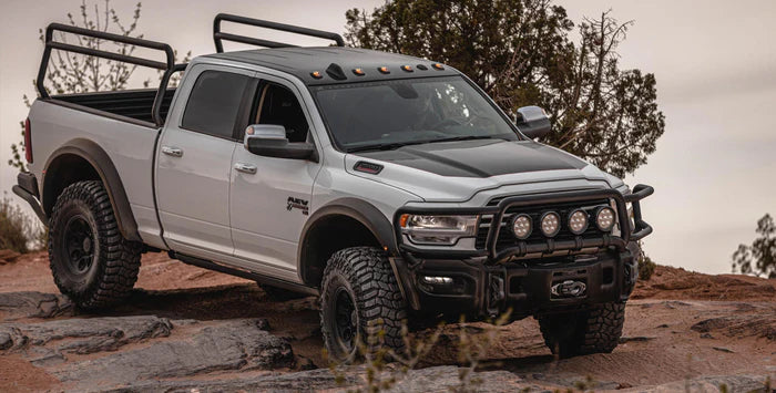 AEV Brush Guard for 2019+ Ram HD