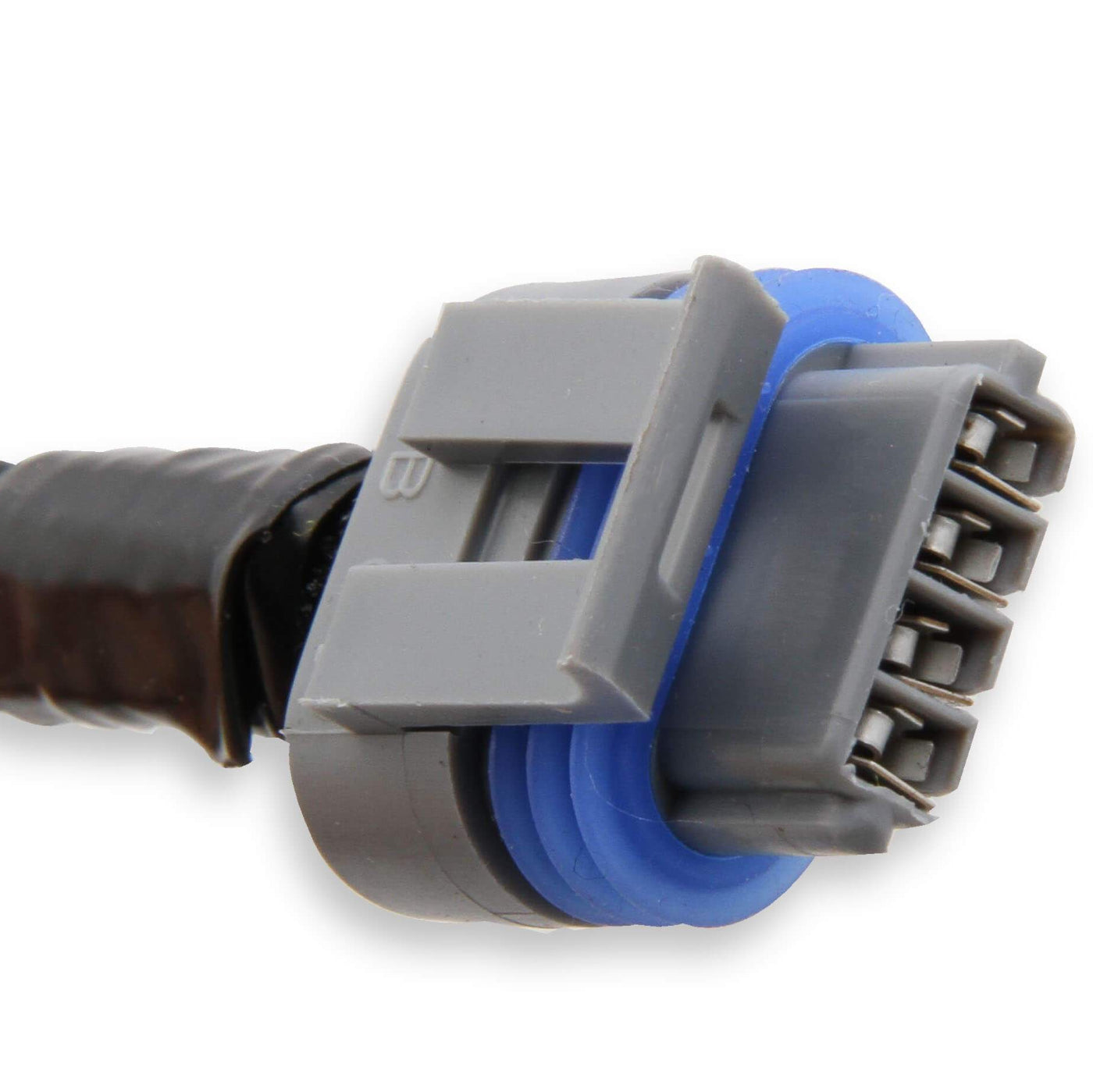 Holley LS Coil Harness Close-up Display 